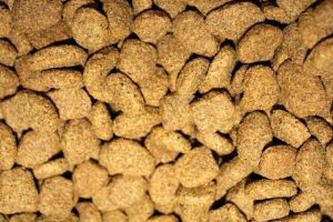 croquettes pour chiens