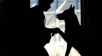 amour entre un chien et son maître