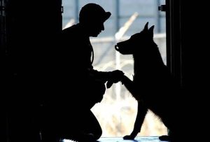 amour entre un chien et son maître