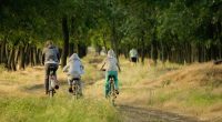 velo famille