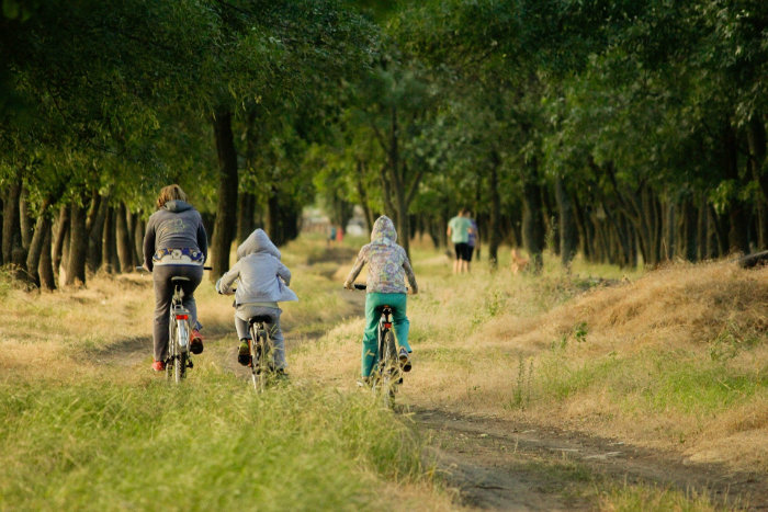 velo famille