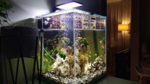 aquarium