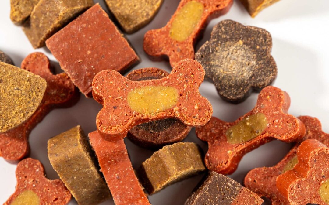 Comparaison de friandises pour chiens : Greenies vs Dentastix
