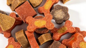 friandise pour chien