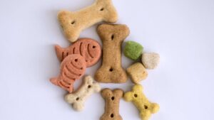 friandise pour chien